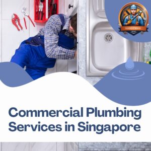 singapore plumber service